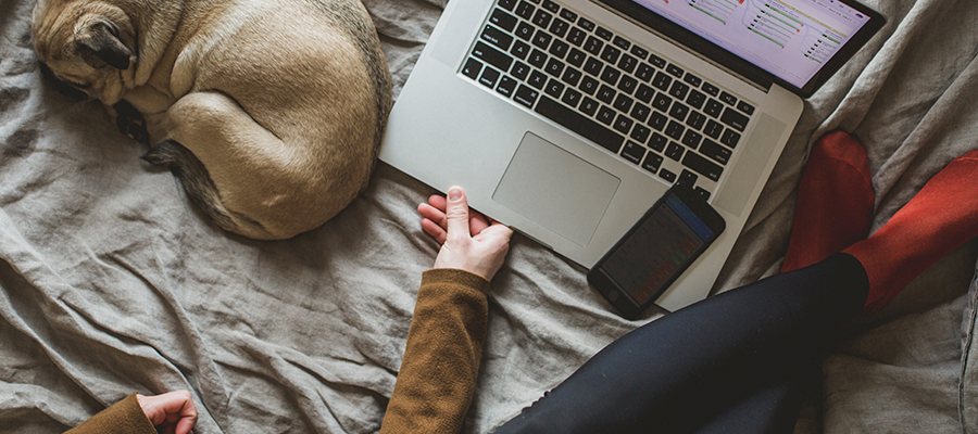imagem de mulher na cama com notebook e cachorro de meias